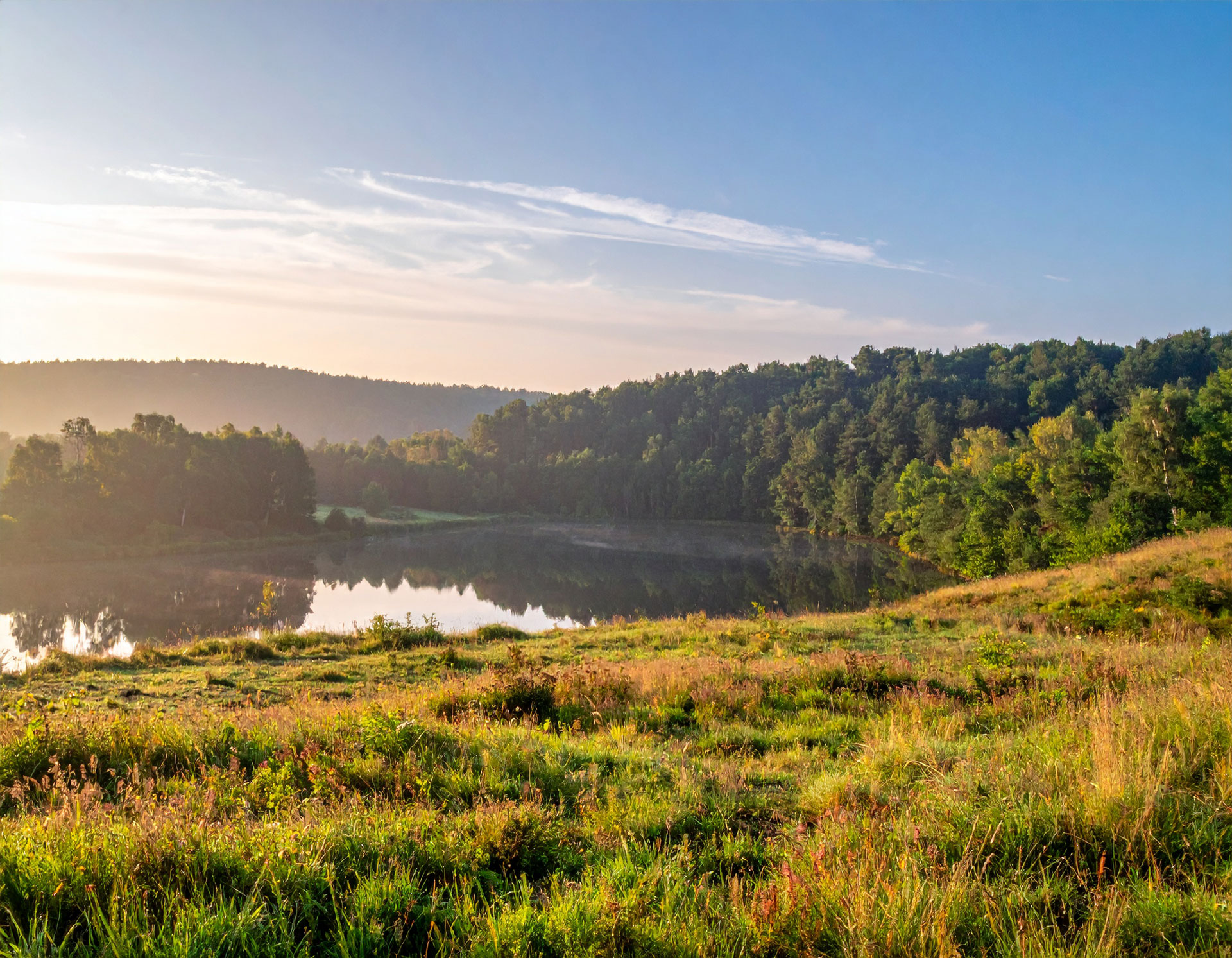 Lebensraum Welle Teich